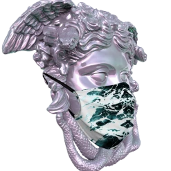 T6 Face Masks On The Crest Face Mask