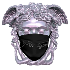 T6 Aesthetic's Creation Face Mask