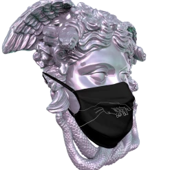 T6 Aesthetic's Creation Face Mask