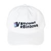 VAPOR95 Binbow Hat Hats + Beanies