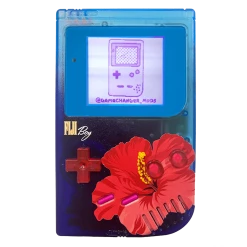 VAPOR95 Gameboys FijiBoy Gameboy