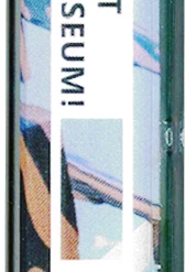 Accorsi Industries Vanitas High Renaissance At The Modern Art Museum Tape