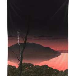 T6 Desolate Tapestry