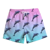 T6 Dolphinz Swim Trunks