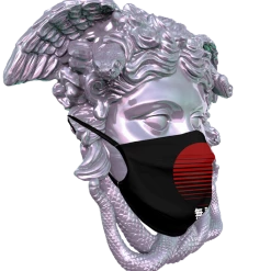 T6 Bosozoku Face Mask Face Masks