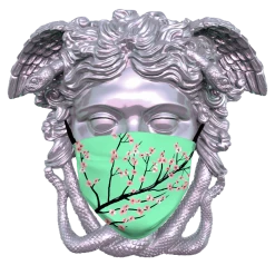 T6 Full Bloom Face Mask Face Masks