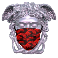 T6 Great Wave Face Mask Face Masks