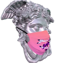 T6 Kyoto Koi Face Mask Face Masks