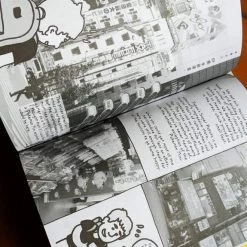 VAPOR95 Game Boy Modding: A Beginners Guide Books