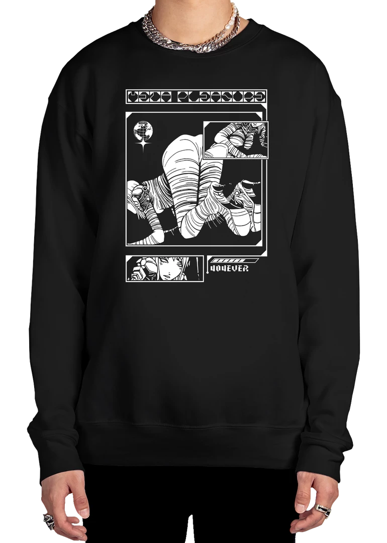 DTG Graphic Sweatshirts Meta Pleasure Sweatshirt