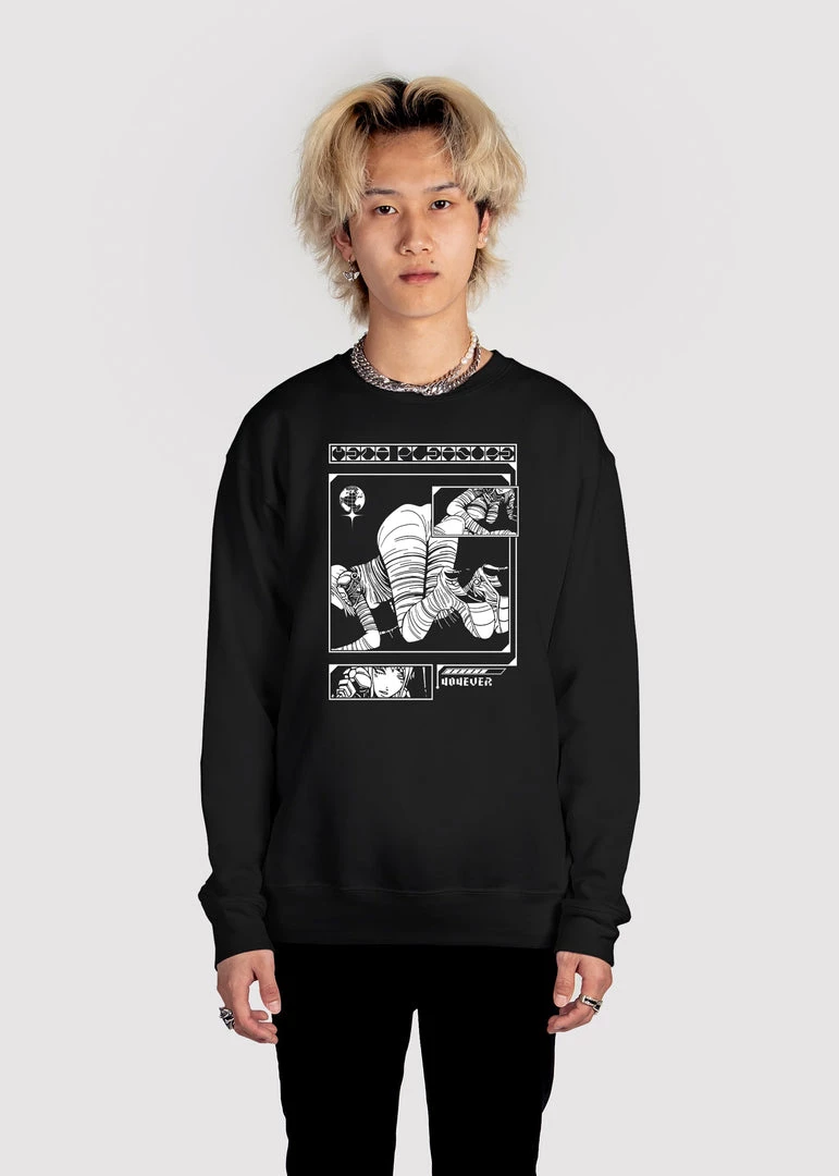 DTG Graphic Sweatshirts Meta Pleasure Sweatshirt