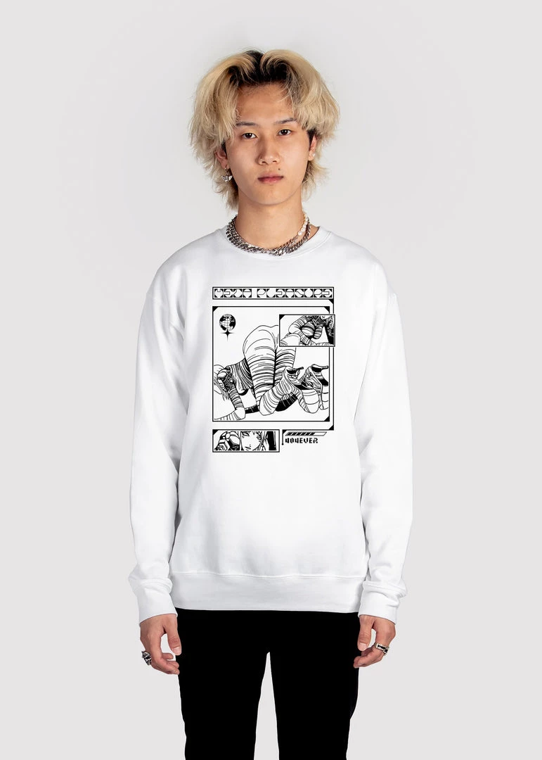 DTG Graphic Sweatshirts Meta Pleasure Sweatshirt