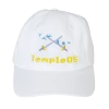 VAPOR95 Temple OS Hat