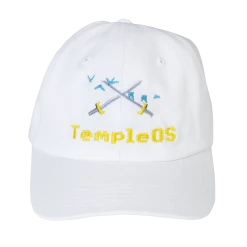 VAPOR95 Temple OS Hat