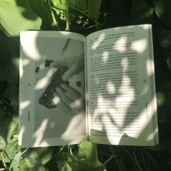 VAPOR95 Video Games: Playing For A Living Book