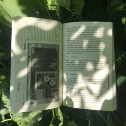 VAPOR95 Video Games: Playing For A Living Book